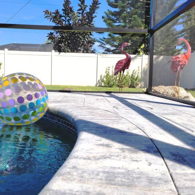 קייפ קורל Blue Door Retreat - Luxury Pool Home - Sleeps 8 מראה חיצוני תמונה